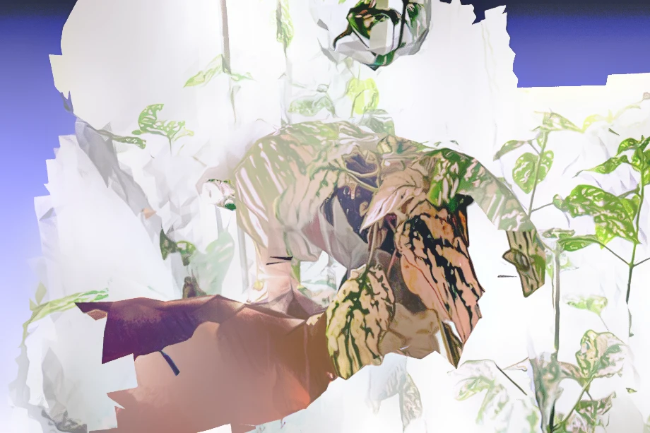 3D Scan