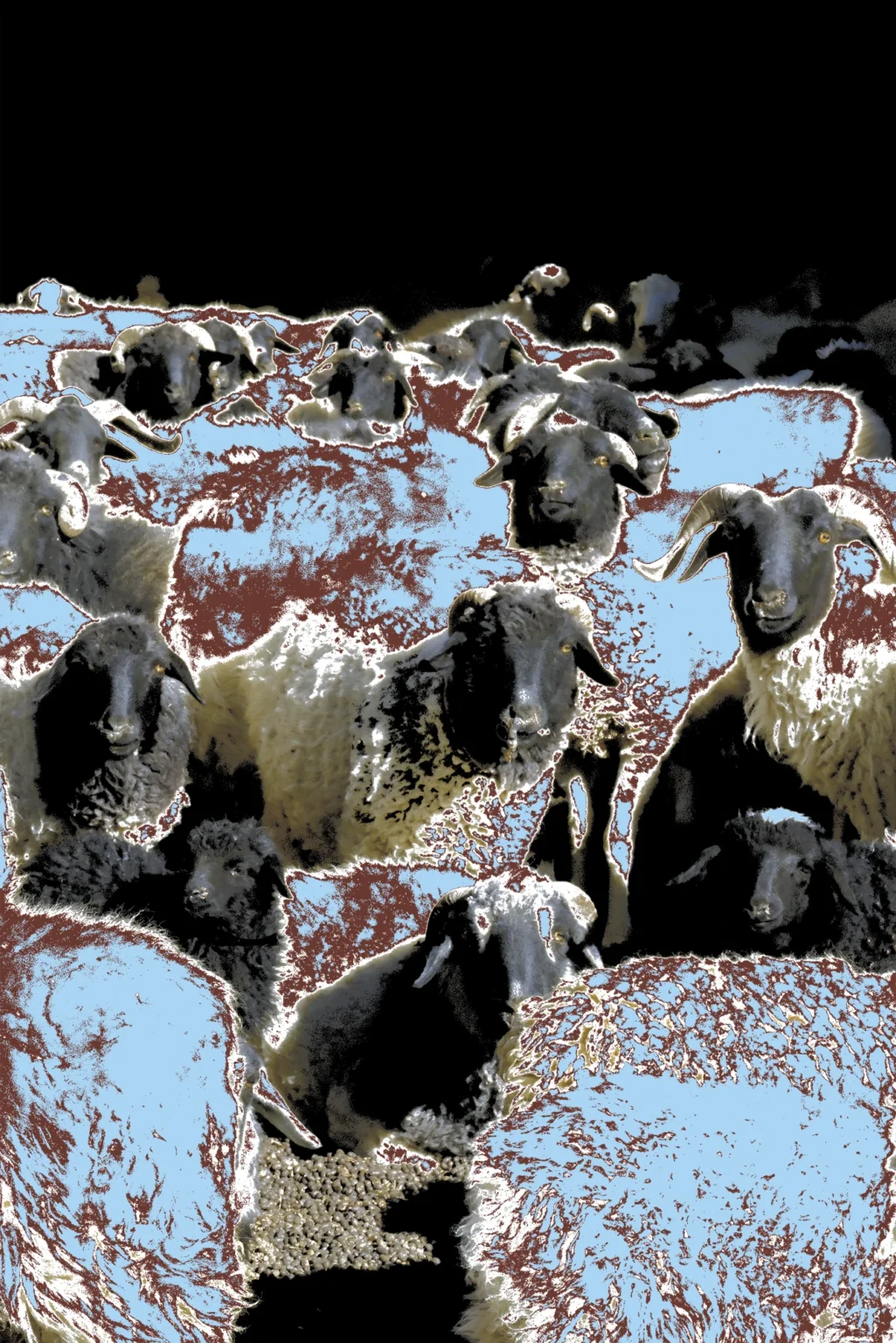 Tibetan Ram, Photography by Jiahao Wan, Efface Design Studio NYC